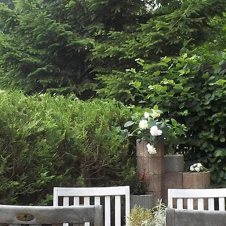 Am Waldrand Mit Panoramablick