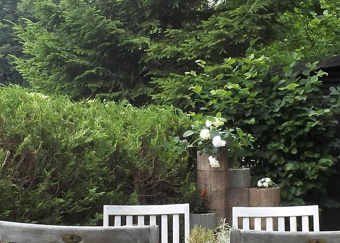 Am Waldrand Mit Panoramablick