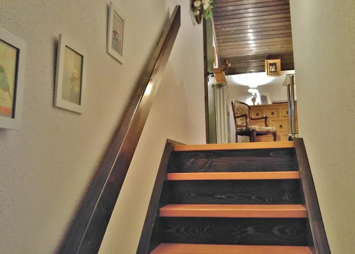 Am Waldrand Mit Panoramablick